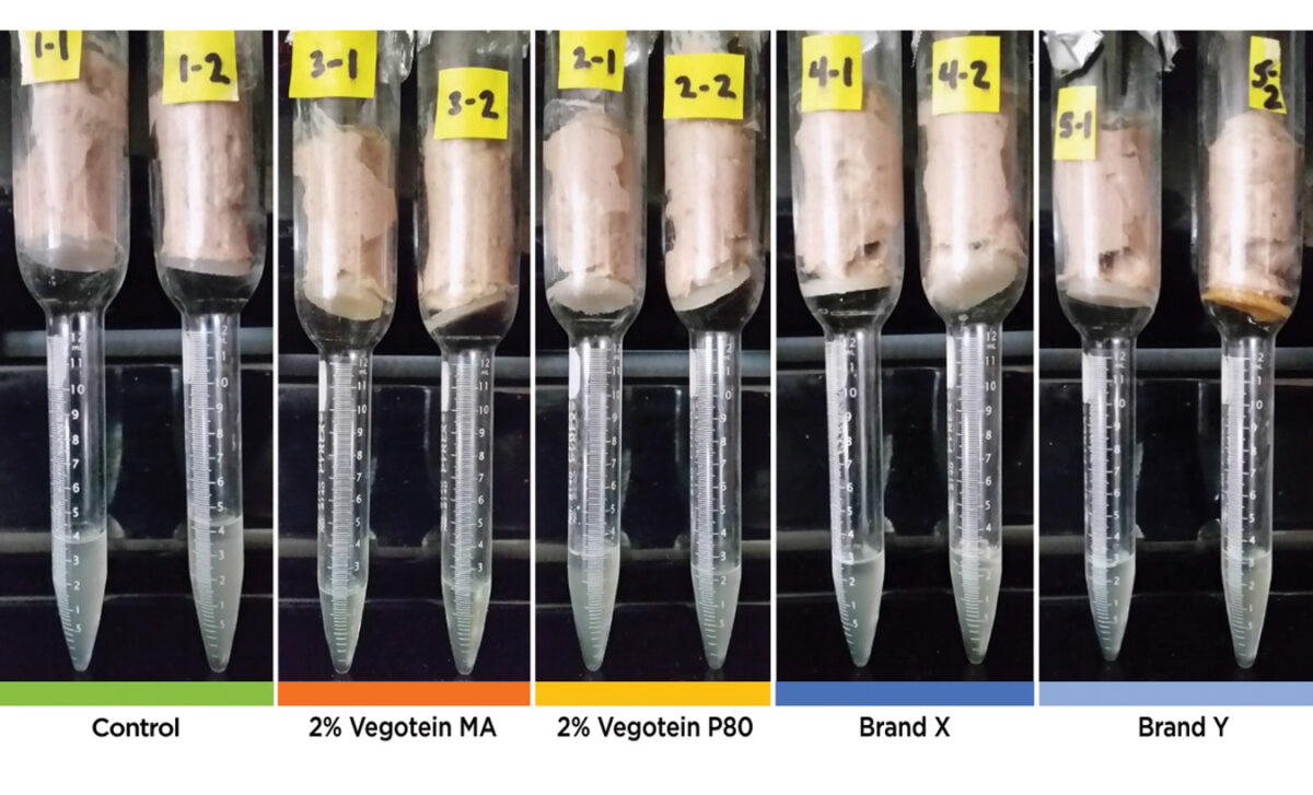 Meat Analogue and Extender Applications Axiom Foods