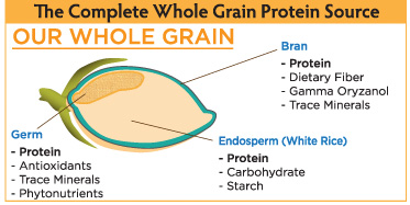 our-whole-grain