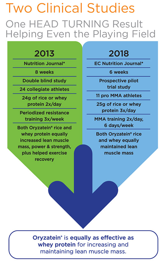 Two clinical studies prove Oryzatein rice protein is equal to whey protein in increasing and maintaining lean muscle mass