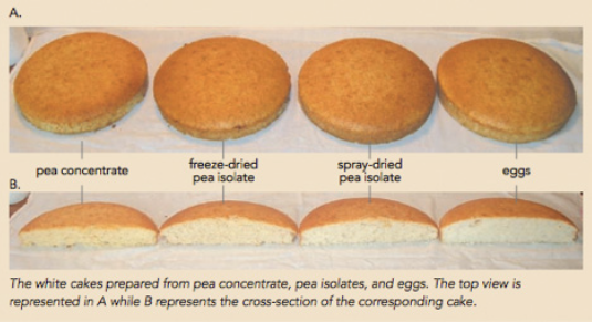 baking-cakeheight1